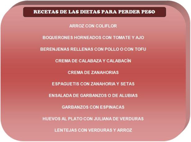 ESQUEMA DE LAS DIETAS