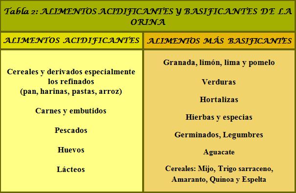 ALIMENTOS ACIDIFICANTES Y ALCALINIZANTES ORINA