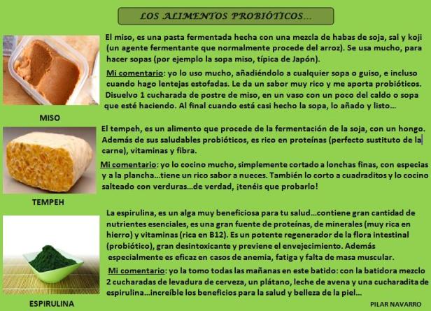 Art. LOS PROBIÓTICOS (parte 2)