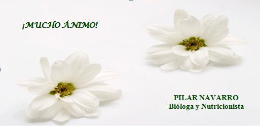 ¡Mucho ánimo!
