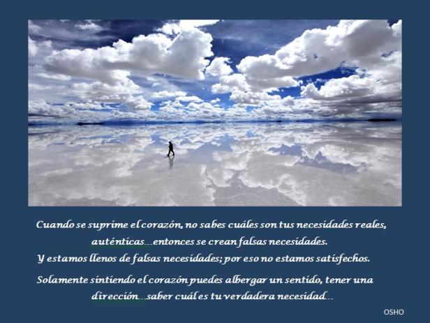 FALSAS NECESIDADES. OSHO.