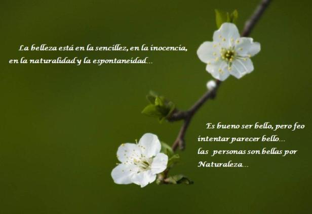 la belleza esta en la sencillez